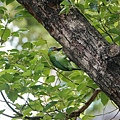 DSC05540.jpg