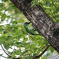 DSC05543.jpg