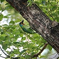 DSC05550.jpg
