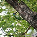 DSC05552.jpg