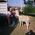 01860091.jpg