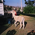 01860092.jpg