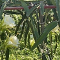 F9CC60CD-2BF7-4F69-AE26-26CAF1EF77F0.jpeg