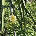 D24F0EEE-6677-405A-BDF5-4A5501764C38.jpeg