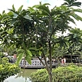7A2071BA-3C0D-4862-9DE5-88A28DEB06D0.jpeg