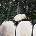 DSC07380.jpg