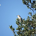 DSC07394.jpg