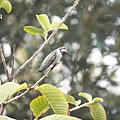 DSC07407.jpg