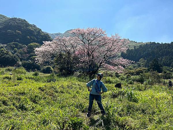 陽明山