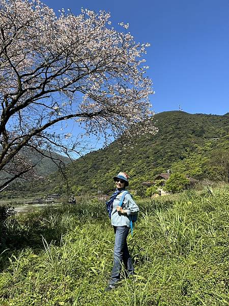 陽明山