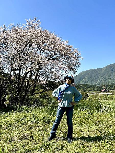 陽明山