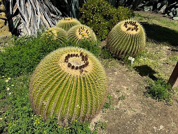 Fullerton Arboretum （植物園）