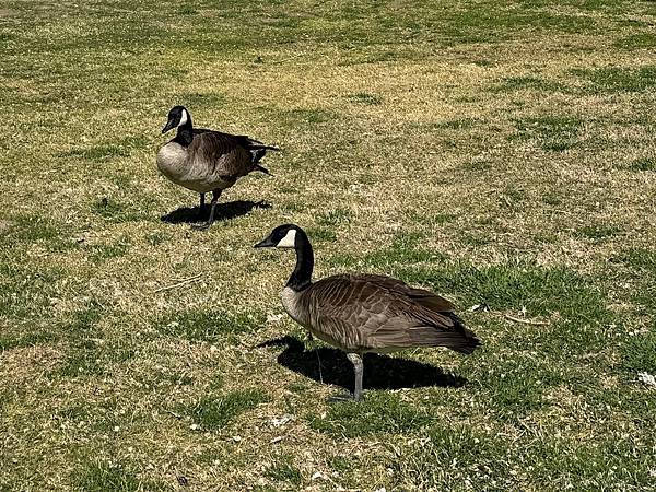 Floyd Lamb Park