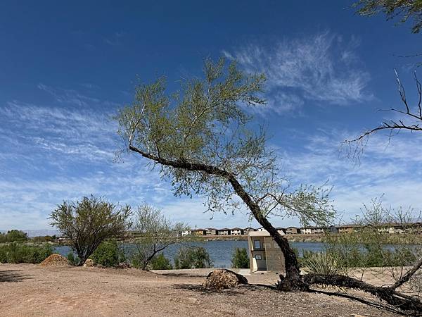 Henderson Bird Viewing Preserv