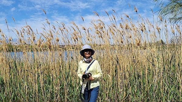 Henderson Bird Viewing Preserv