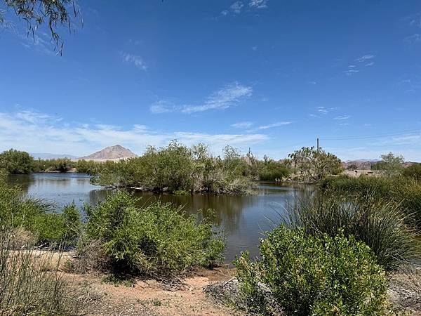 Henderson Bird Viewing Preserv