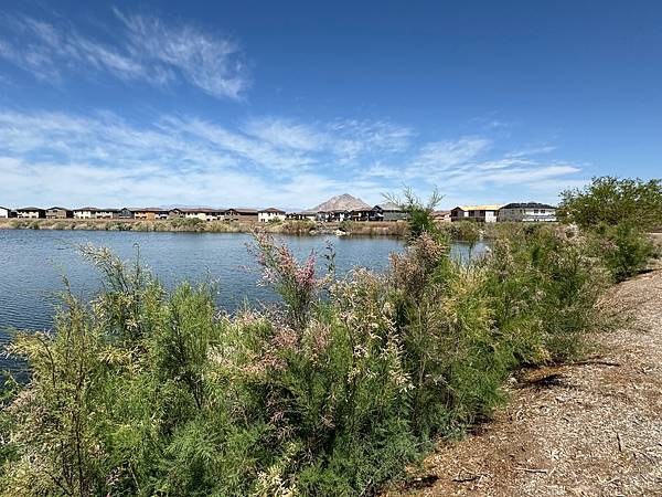 Henderson Bird Viewing Preserv