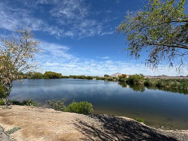 Henderson Bird Viewing Preserv