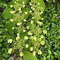 IMG_9292.jpeg