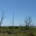 IMG_9837.png