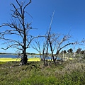IMG_9855.jpeg