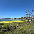 IMG_9853.jpeg