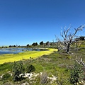 IMG_9852.jpeg