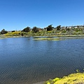 IMG_9850.jpeg