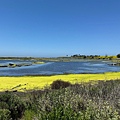 IMG_9848.jpeg