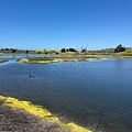 IMG_9849.jpeg