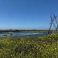 IMG_9846.jpeg