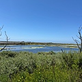 IMG_9844.jpeg