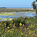 IMG_9843.jpeg