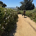IMG_9842.jpeg