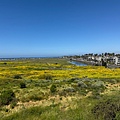 IMG_9839.jpeg