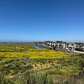 IMG_9833.jpeg