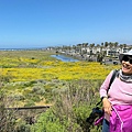 IMG_9834.jpeg