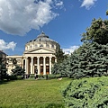 IMG_0290.jpeg