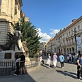 IMG_0316.jpeg