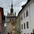 IMG_1103.jpeg