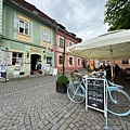 IMG_1110.jpeg