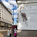 IMG_5241.jpeg