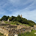 IMG_2464.jpeg