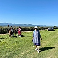 IMG_1459.jpeg