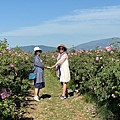 IMG_2272.jpeg