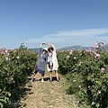 IMG_2265.jpeg