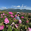 IMG_2243.jpeg