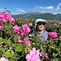 IMG_2244.jpeg