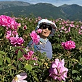 IMG_2242.jpeg
