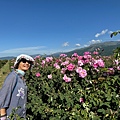 IMG_2208.jpeg